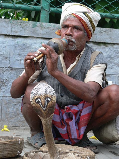 Snake Charmer.